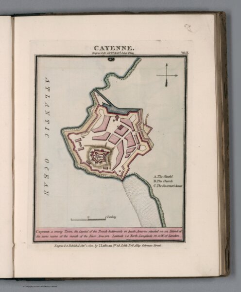 Plate 36 from Vol. 2: Cayenne
