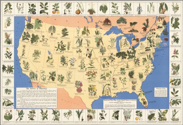 Medicinal plant map of the United States of America
