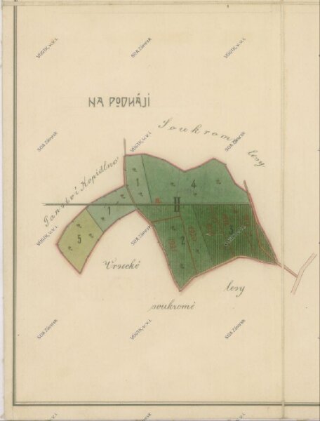 Porostní mapa zádušních lesů farnosti Kopidlno-Vršce II