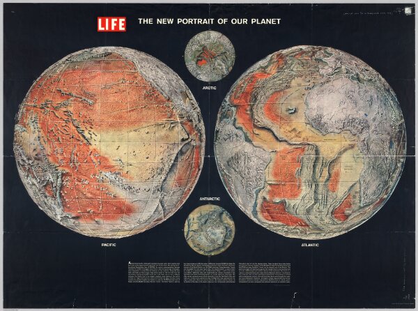 The New Portrait of our Planet.  Life.