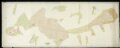 HZAN GA 100_Nr. 356_ : Schillingsfürst; "Grundriß" [Schloß und Schloßanlagen];Bürgel;50 Ruten = 18,8 cm;244 x 91 cm; Norden oben links;Papier; Wasserfarben; Grenzen mit Tusche; Schloss und Parkanlage.