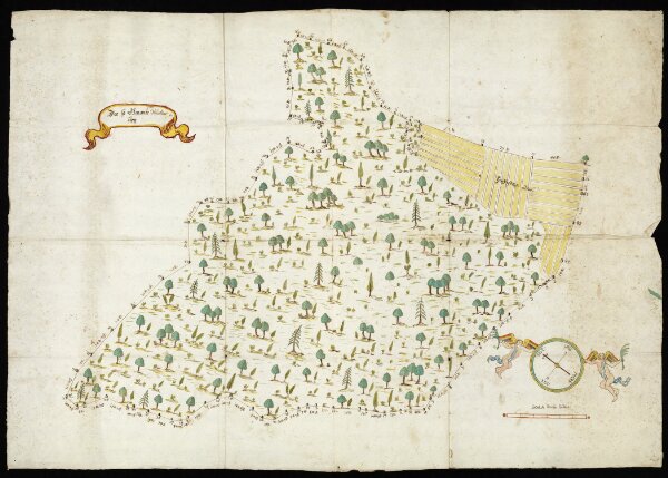 HZAN GA 100_Nr. 433_ : Weikersheim; "Der sogenannte Winterberg" [Waldkarte];ohne Verfasser;60 Ruten = 10,8 cm; 89 x 62 cm; Norden oben nach links;Papier; Wasserfarben; Grenzsteine nummeriert.