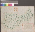 HZAN GA 100_Nr. 427_ : Weikersheim; "Waldhach genannt" [Waldkarte];Johann Martin Wenderlein;40 Ruten = 7,2 cm;39 x 30 cm; Norden oben;Papier; Wasserfarben; Angrenzer namentlich angegeben.