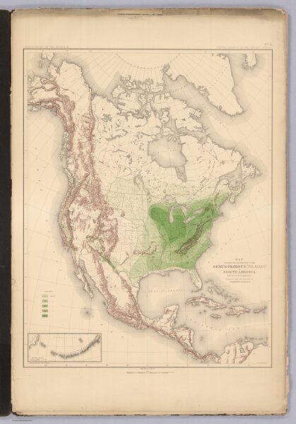 Distribution of Genus Fraxinus [The Ashes] in North America.