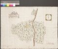 HZAN GA 100_Nr. 435_ : Weikersheim; "Das sogenannte Neußemer Teich";ohne Verfasser;40 Ruten = 7,2 cm;62 x 45 cm; Norden oben;Papier; Federzeichnung; Bäume und Wege in Wasserfarben; Grenzsteine nummeriert.