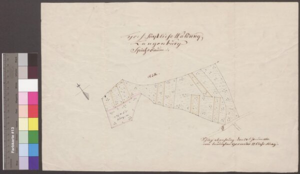 HZAN GA 100_Nr. 253_ : Langenburg; "Waldung Spitzebaum";Geometer 2. Kl. Haag;ohne Maßstab;44,5 x 29,5 cm; Norden oben nach links;Papier; Federzeichnung; Waldstücke koloriert.